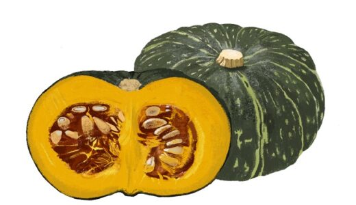 都道府県別のかぼちゃの生産量ランキング