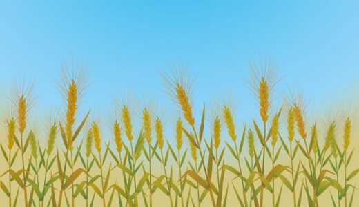 都道府県別の小麦の生産量ランキング