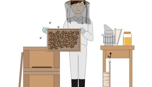都道府県別の蜜蜂飼育戸数ランキングTOP10